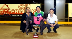 Northern Districts Cup winner is ‘sure to excite’