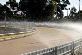Hot weather alert: Shepparton Thursday 22 February meeting marked as ‘Hot Weather Affected’