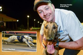 ‘Thief’ steals the show with cracking Shepparton Cup heat win
