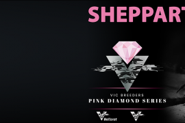 Shepparton Pink Diamond Events
